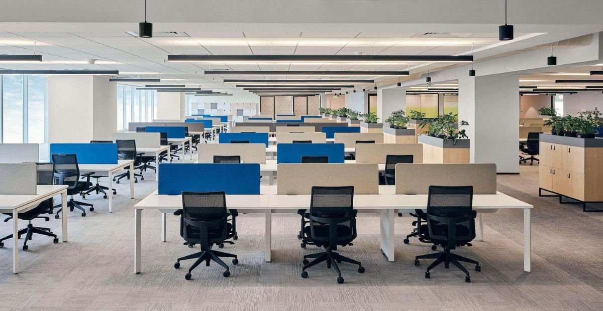 Các dịch vụ Serviced Space hỗ trợ doanh nghiệp